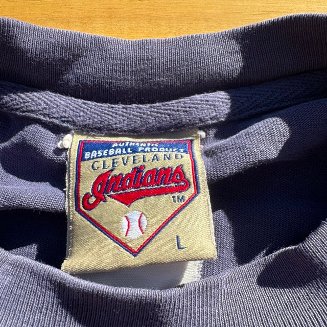 Vintage Cleveland indians Embroidered Faded T shirt - L