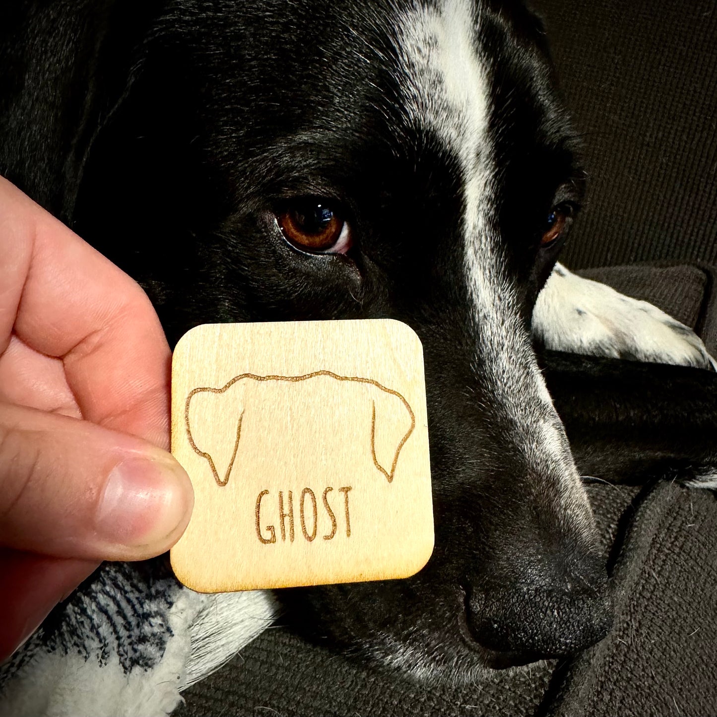 Personalized Pet Ear Fridge Magnet