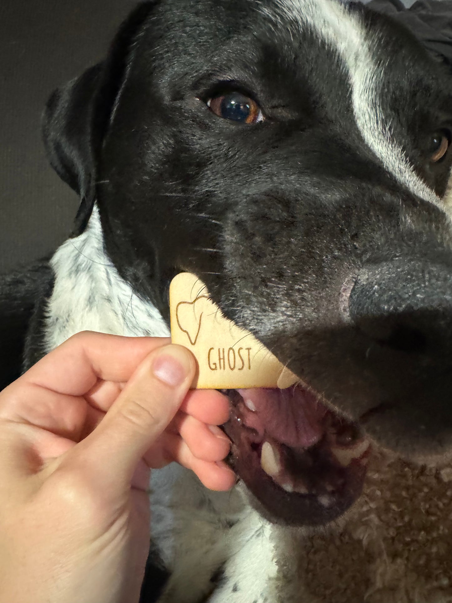 Personalized Pet Ear Fridge Magnet